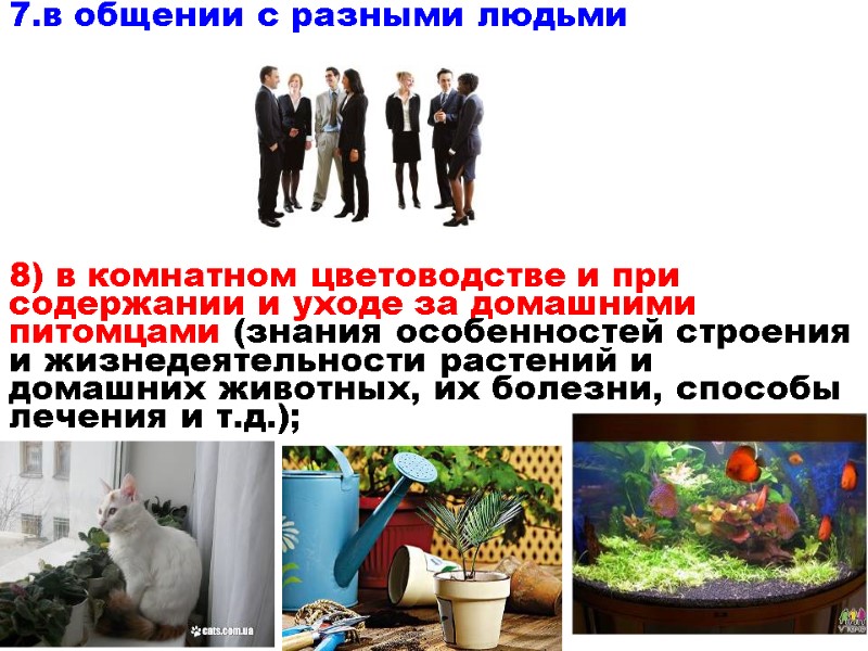 в общении с разными людьми 8) в комнатном цветоводстве и при содержании и уходе